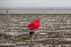NOAA: El agua de la bahía de Tampa descendió 1,5 metros