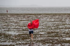 NOAA: El agua de la bahía de Tampa descendió 1,5 metros