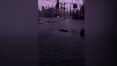 Los sobrevivientes del huracán Ian comparten los destrozos en las redes sociales