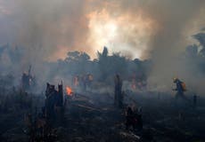 Brasil sufre peores incendios forestales en más de 10 años