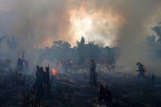 Brasil sufre peores incendios forestales en más de 10 años