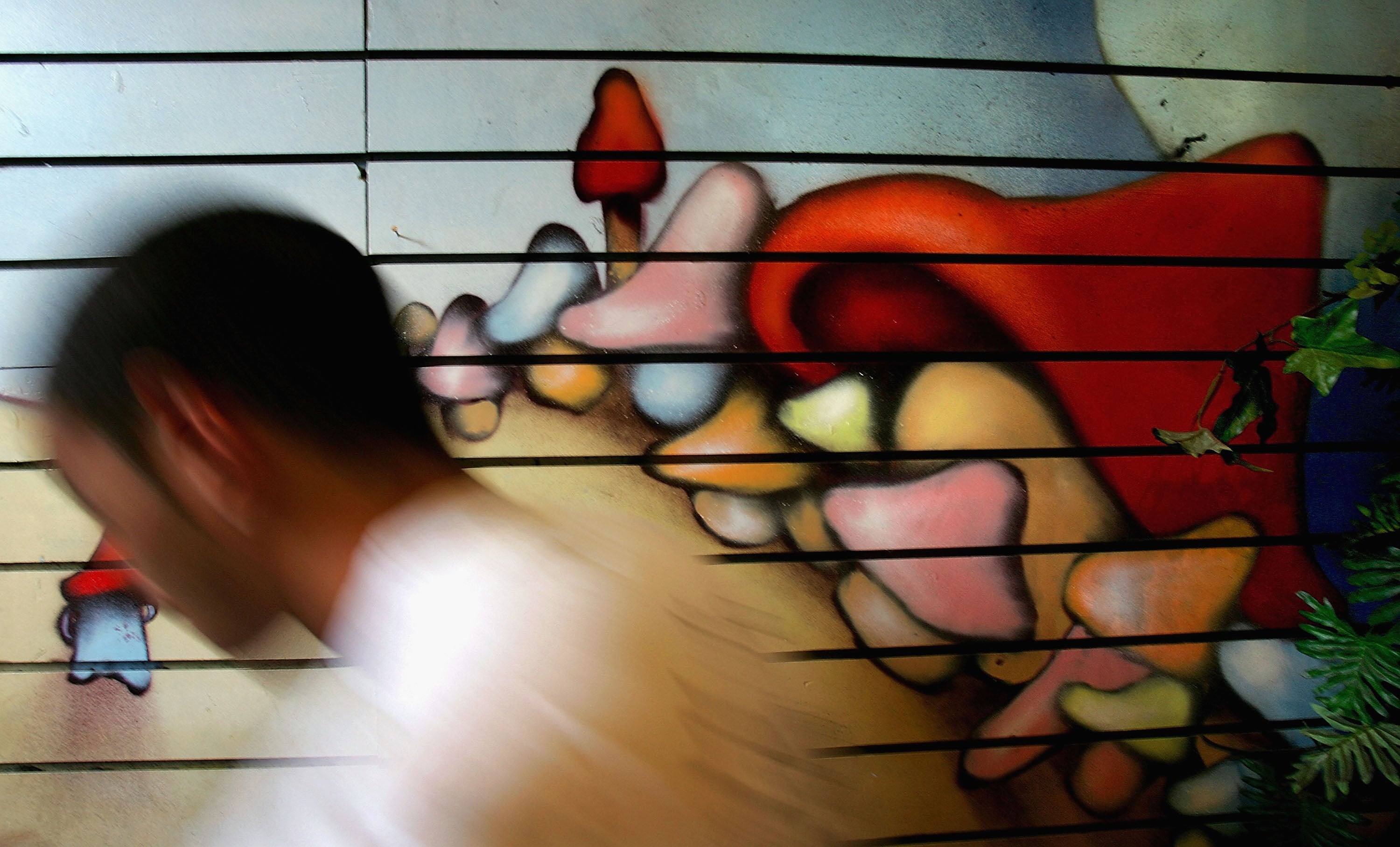 Hongos mágicos y éxtasis podrían ser efectivos para tratar el TEPT