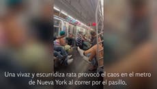 Una rata provoca caos en el metro de Nueva York
