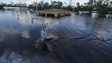 Confirman al menos 100 muertos por huracán Ian en Florida, se espera visita de Biden