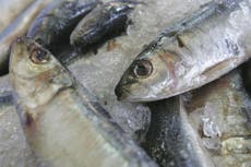 El consumo de pescado azul podría beneficiar a la salud del cerebro, según estudio