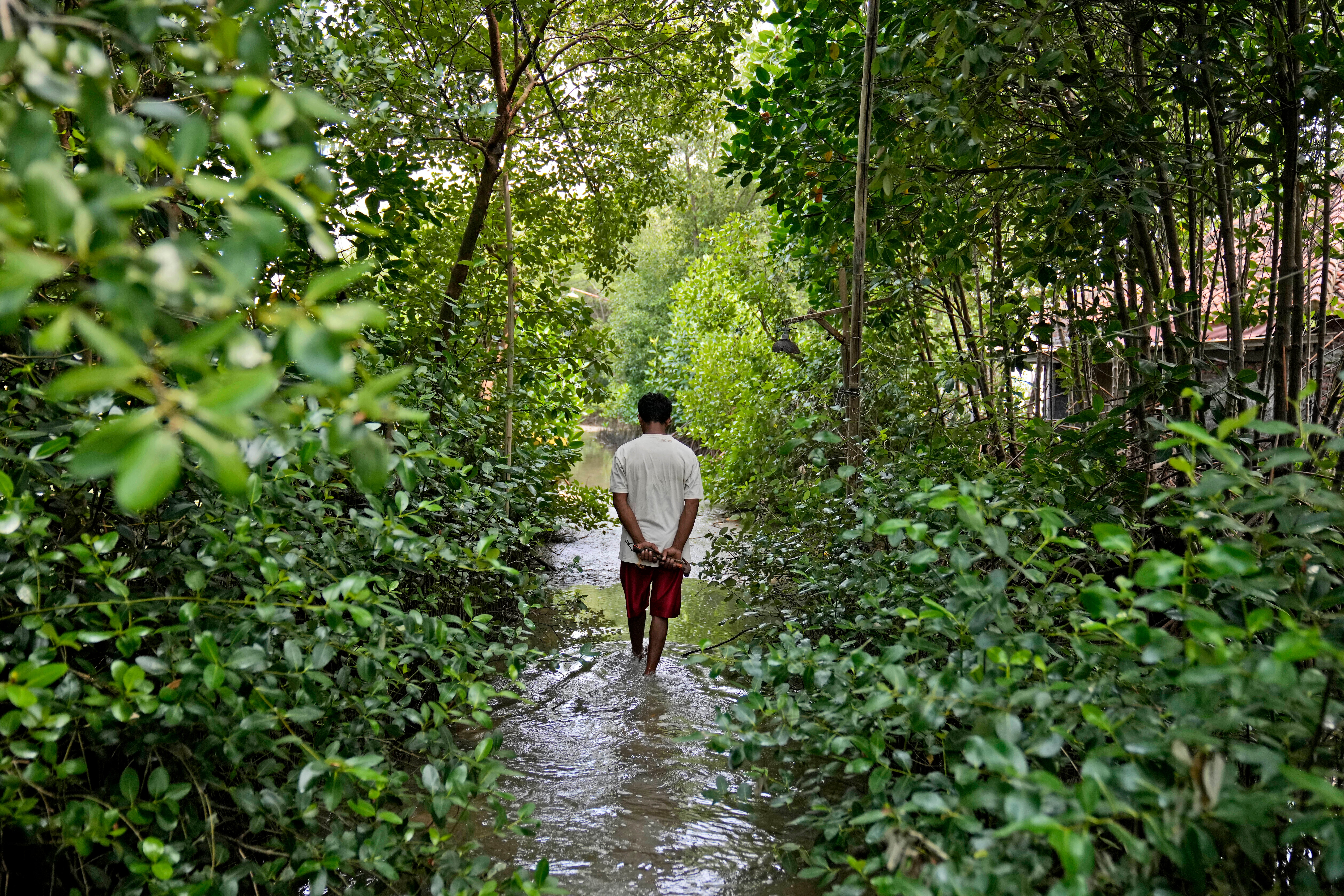 MIGRANTES CLIMÁTICOS-INDONESIA