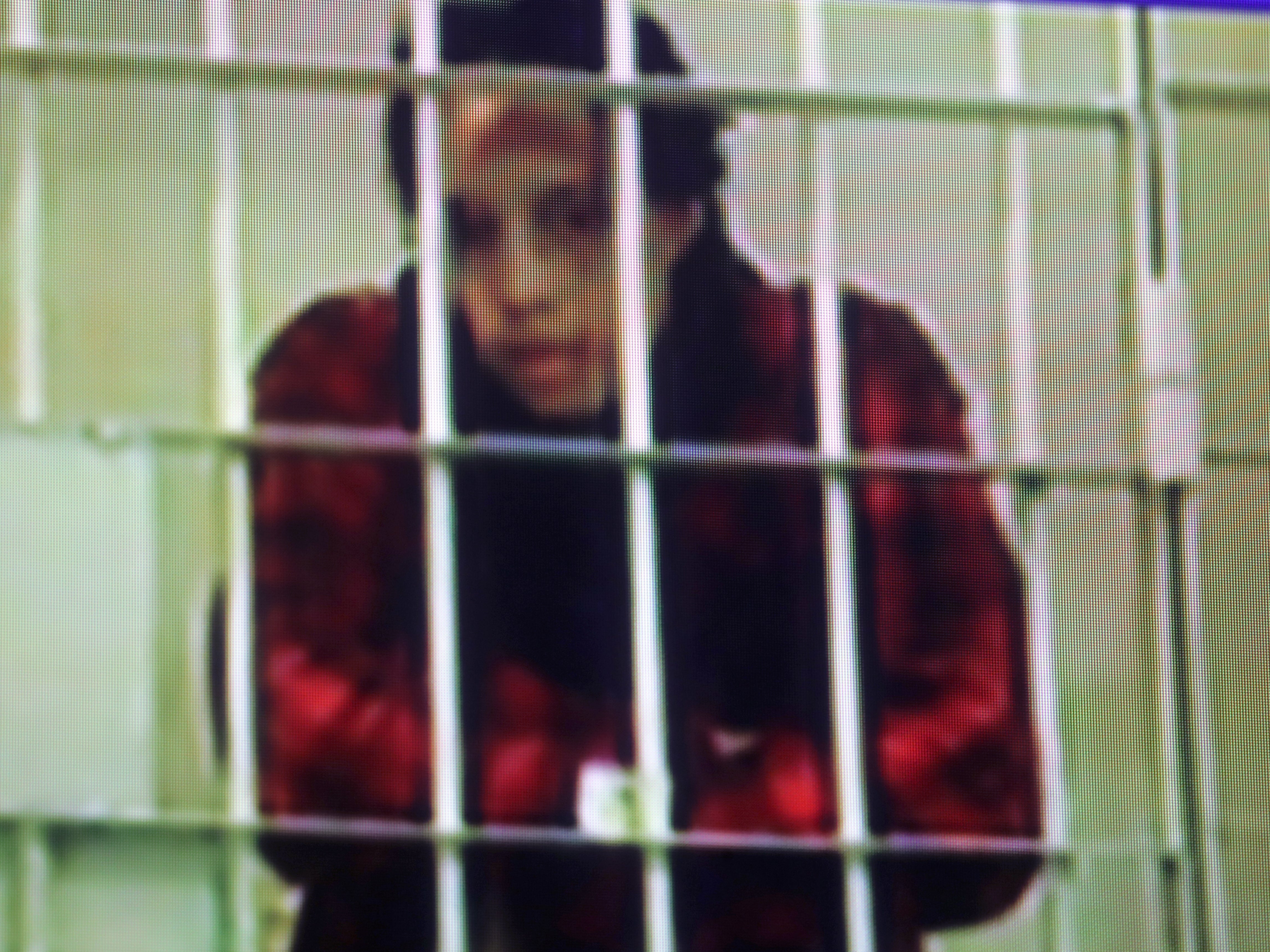 Brittney Griner: tribunal ruso rechaza apelación de sentencia