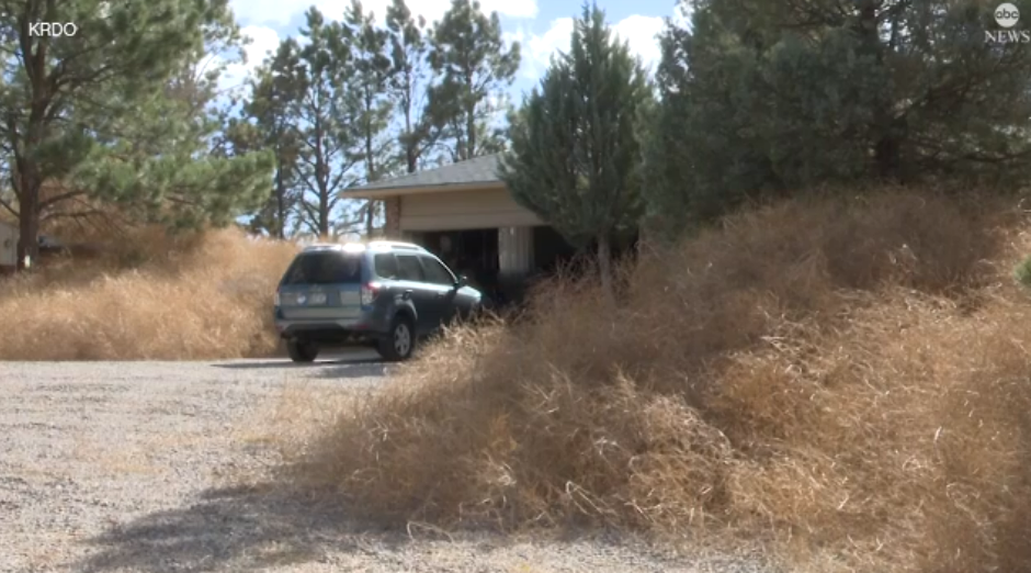 Las plantas rodantes en una propiedad de Colorado Springs se han apilado tan alto en la propiedad de una pareja que a veces no han podido acceder a su coche ni a la puerta principal