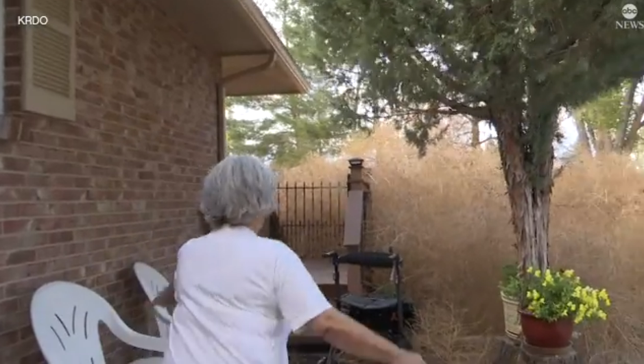 Marlies Gross, residente en Colorado Springs, dice que el patio trasero de su casa se ha visto invadido de plantas rodadoras desde el domingo, tras los fuertes vientos que soplaron en la zona durante el fin de semana