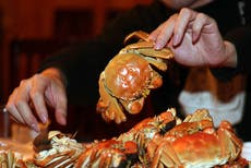 Hombre chino se enferma de gravedad después de comerse un cangrejo vivo por venganza