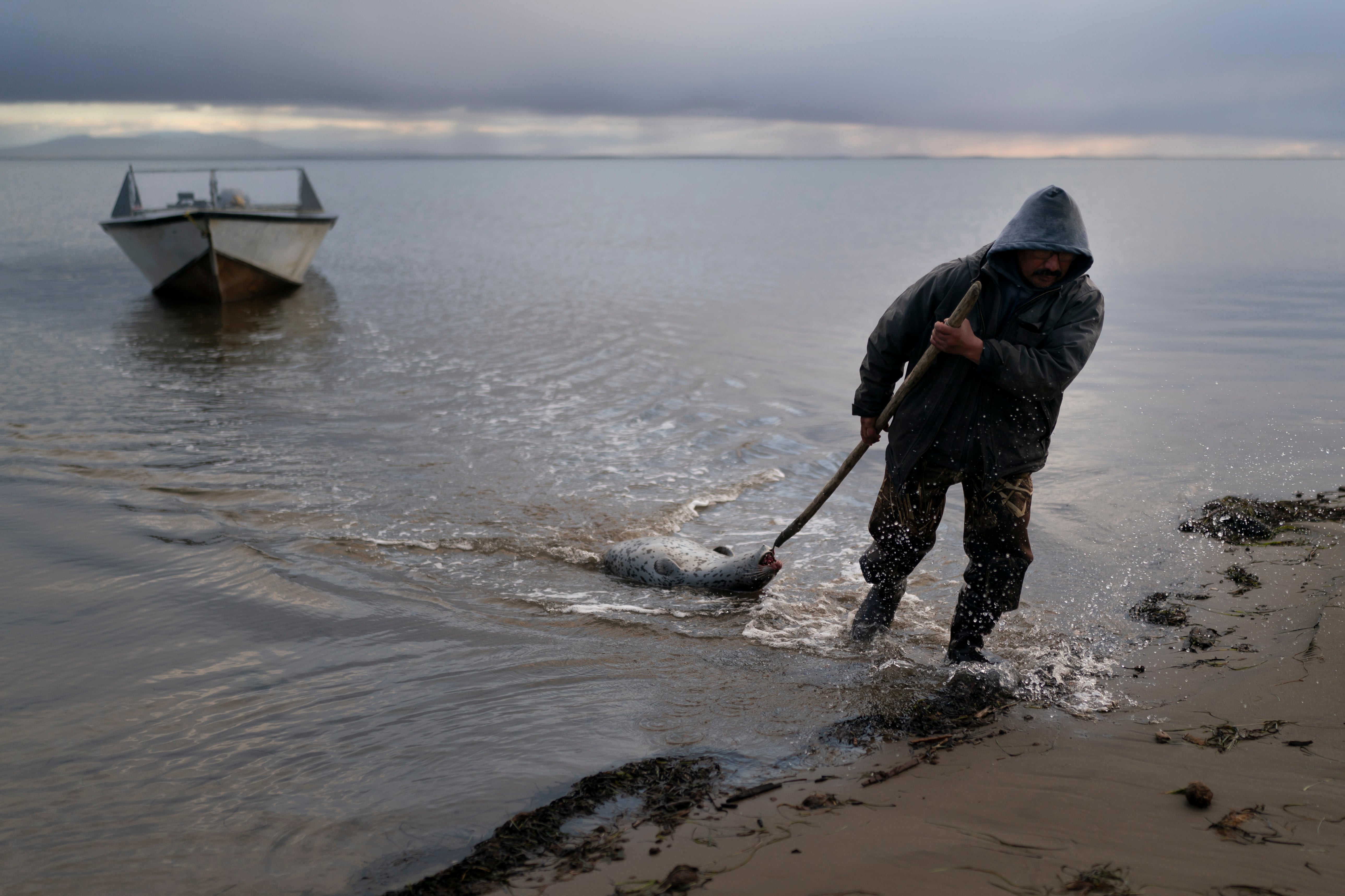 MIGRANTES CLIMÁTICOS ALASKA