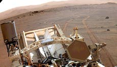 ¿Vida en Marte? La misión ‘Perseverance’ de la NASA reveló intrigantes pistas