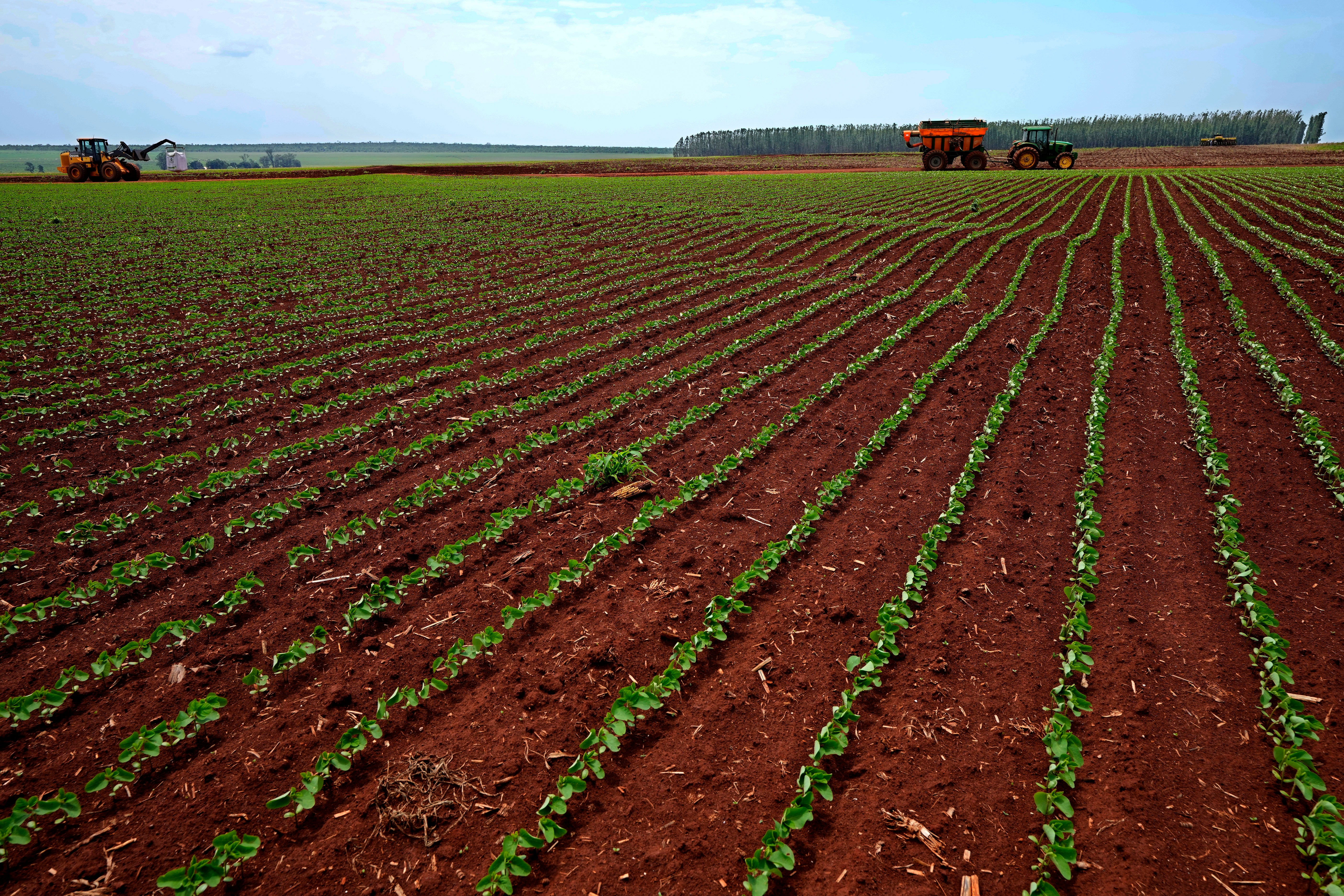 BRASIL ELECCIONES EL CAMPO