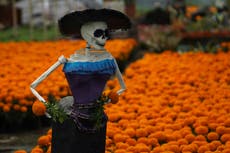 ¿Para qué se usa la flor de cempasúchil en el Día de Muertos?
