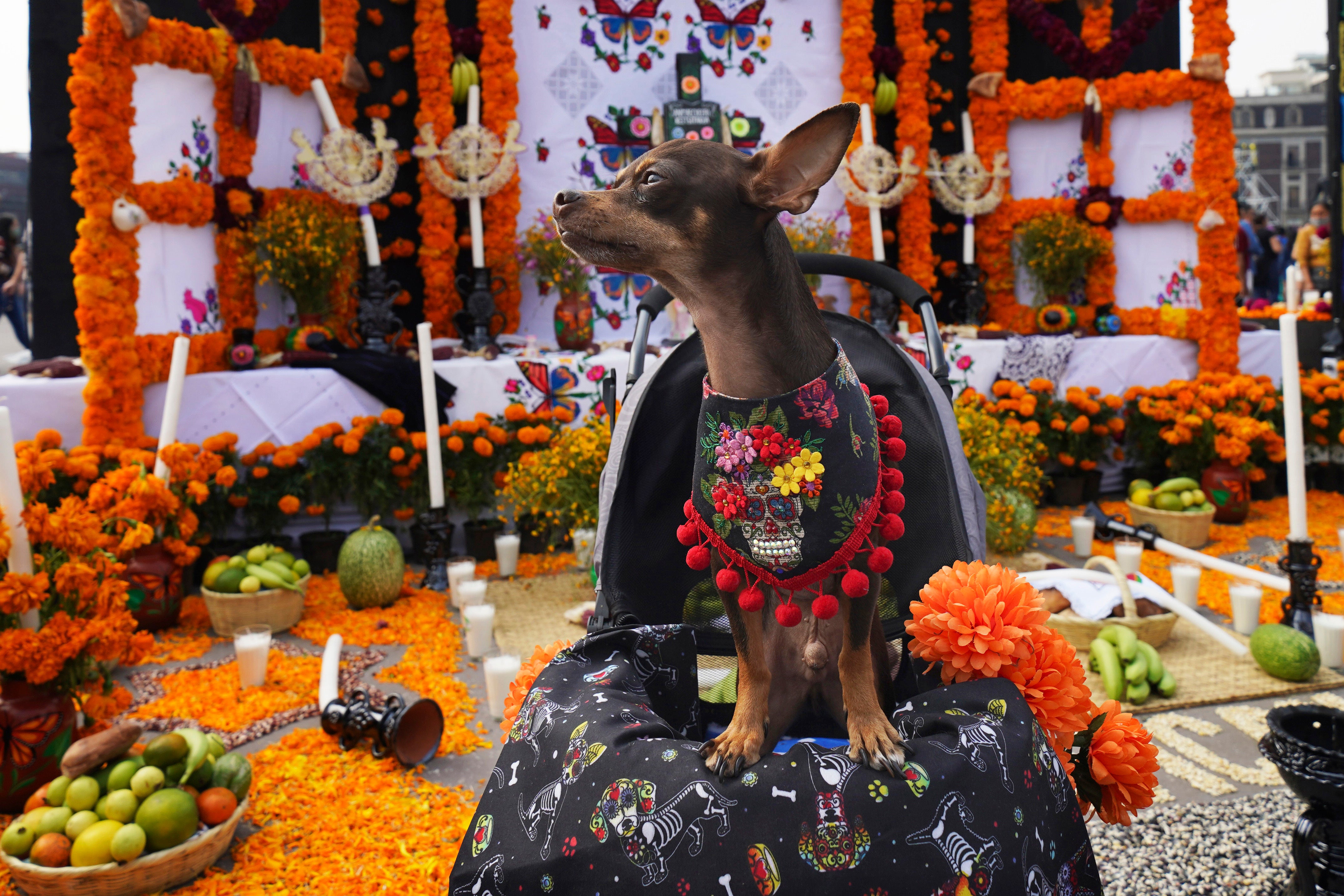 MÉXICO-DÍA DE MUERTOS