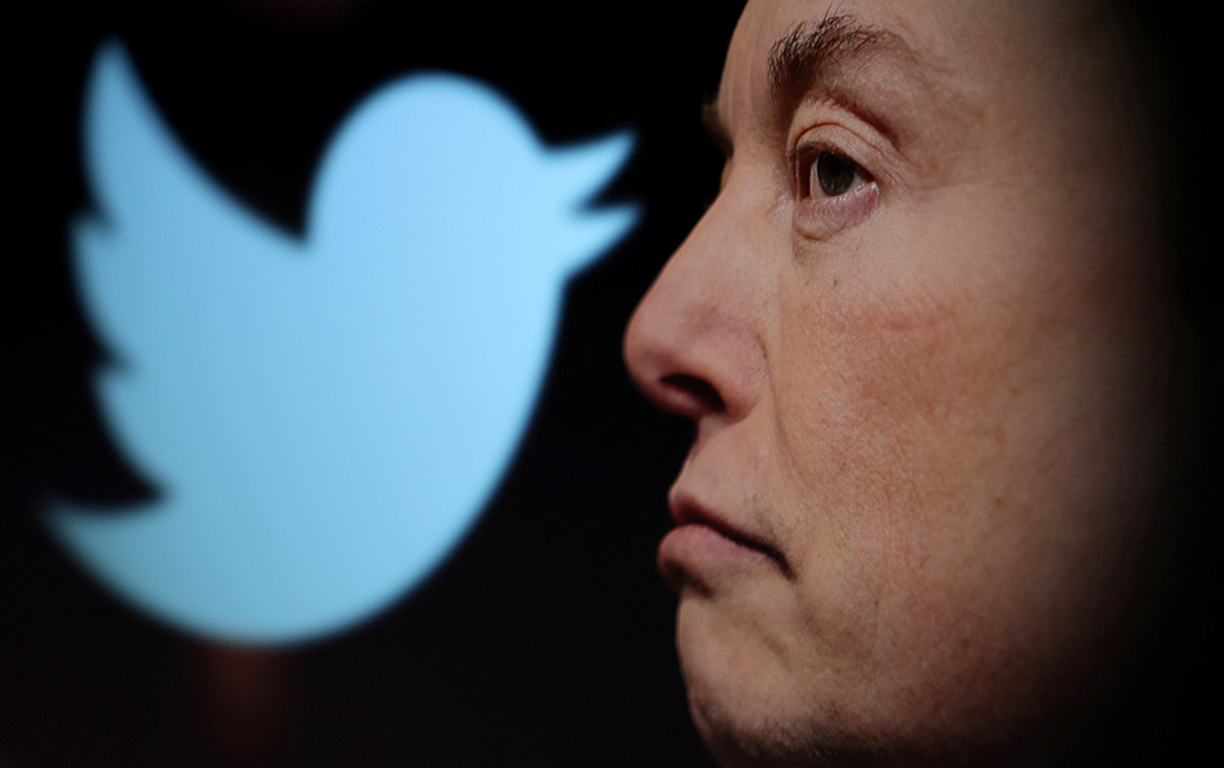 Elon Musk disuelve el consejo de administración de Twitter y se convierte en “único director”