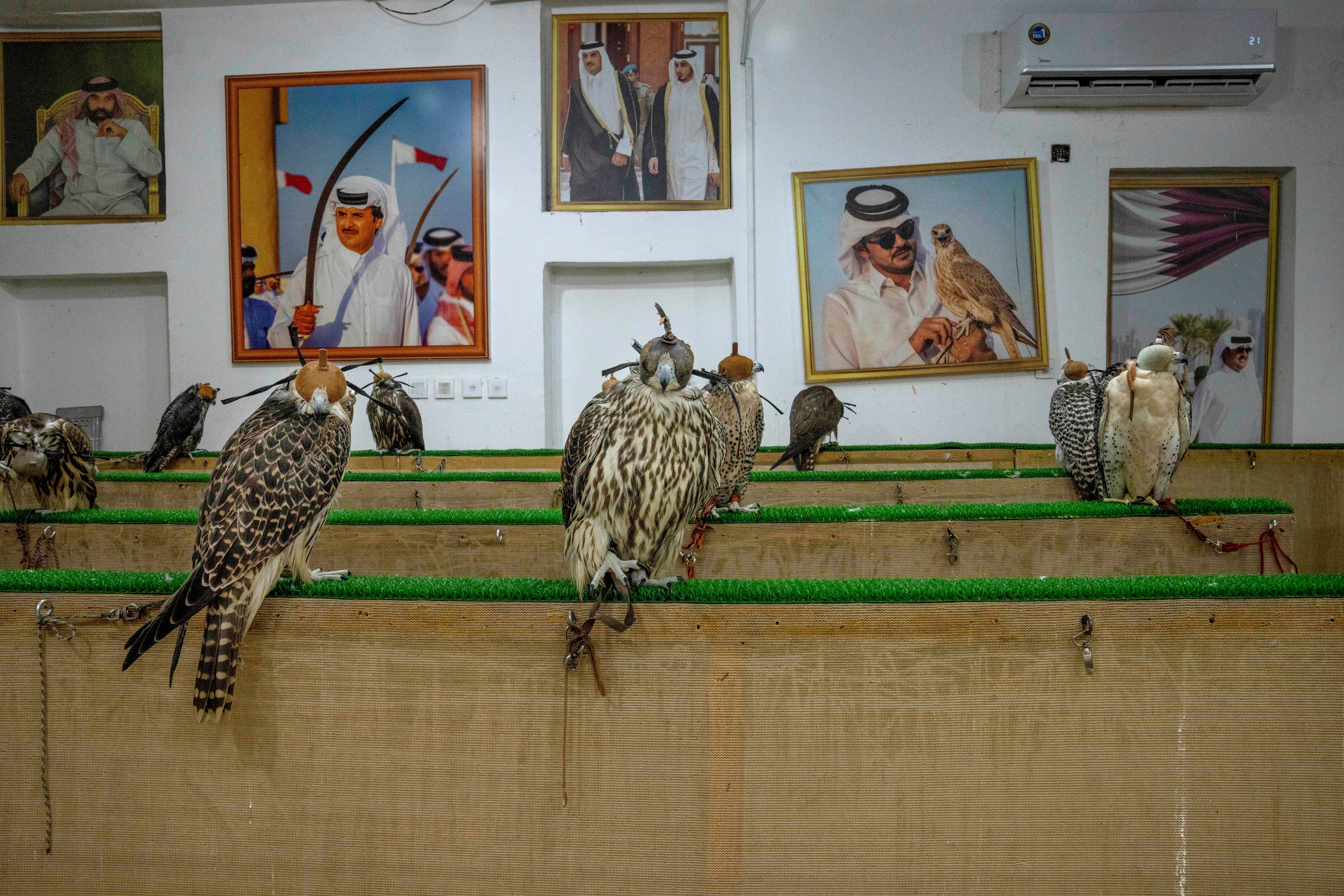 QATAR GALERÍA