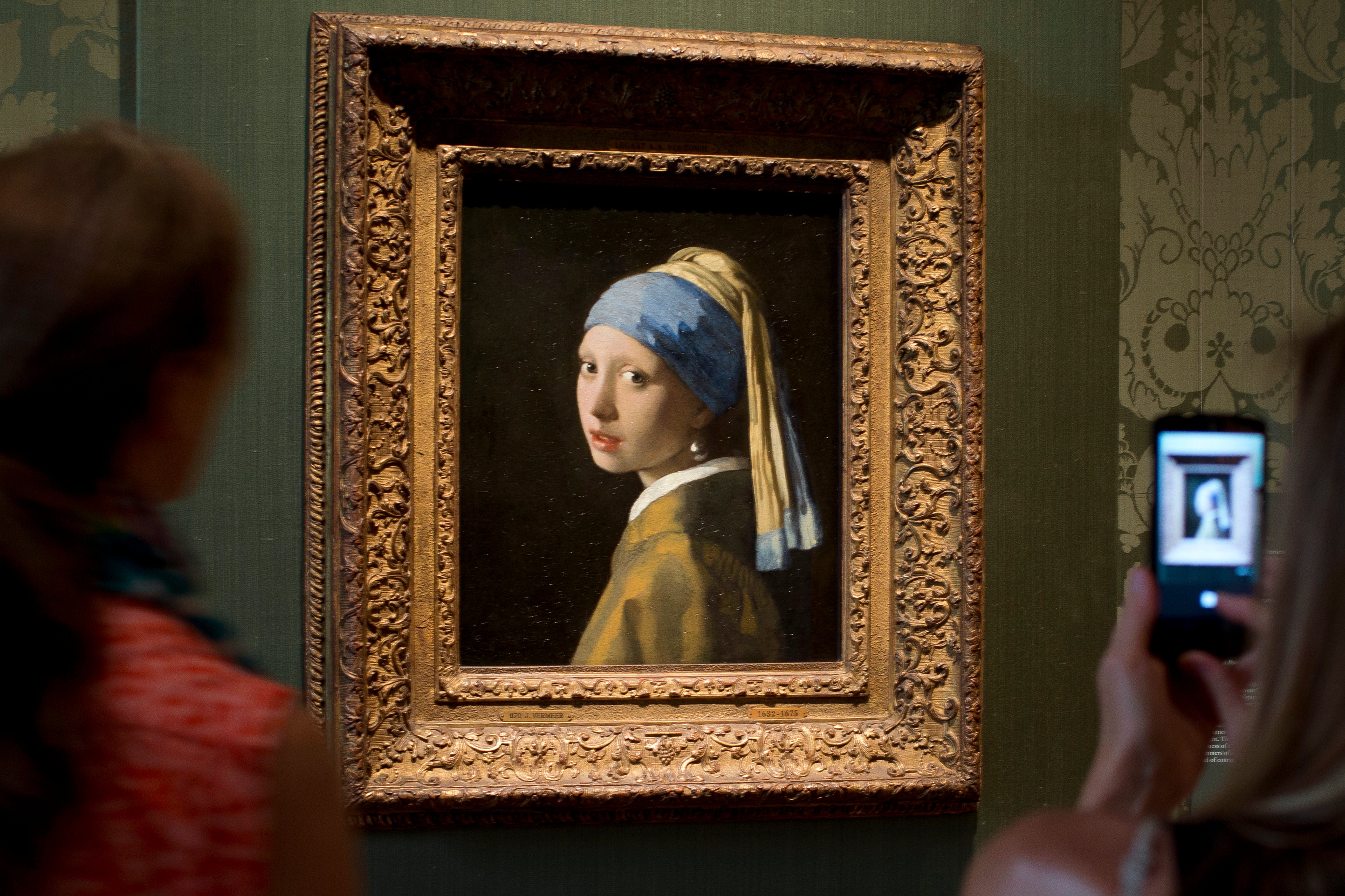 HOLANDA-VERMEER PROTESTA