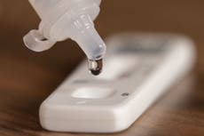 Variante “perro del infierno” llega a México y la identifican en siete estados