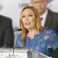 “La democracia de México está en riesgo”: senadora Alejandra Reynoso