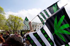Elecciones EEUU: Aprueban uso recreativo de marihuana en dos estados y el aborto en cuatro entidades 