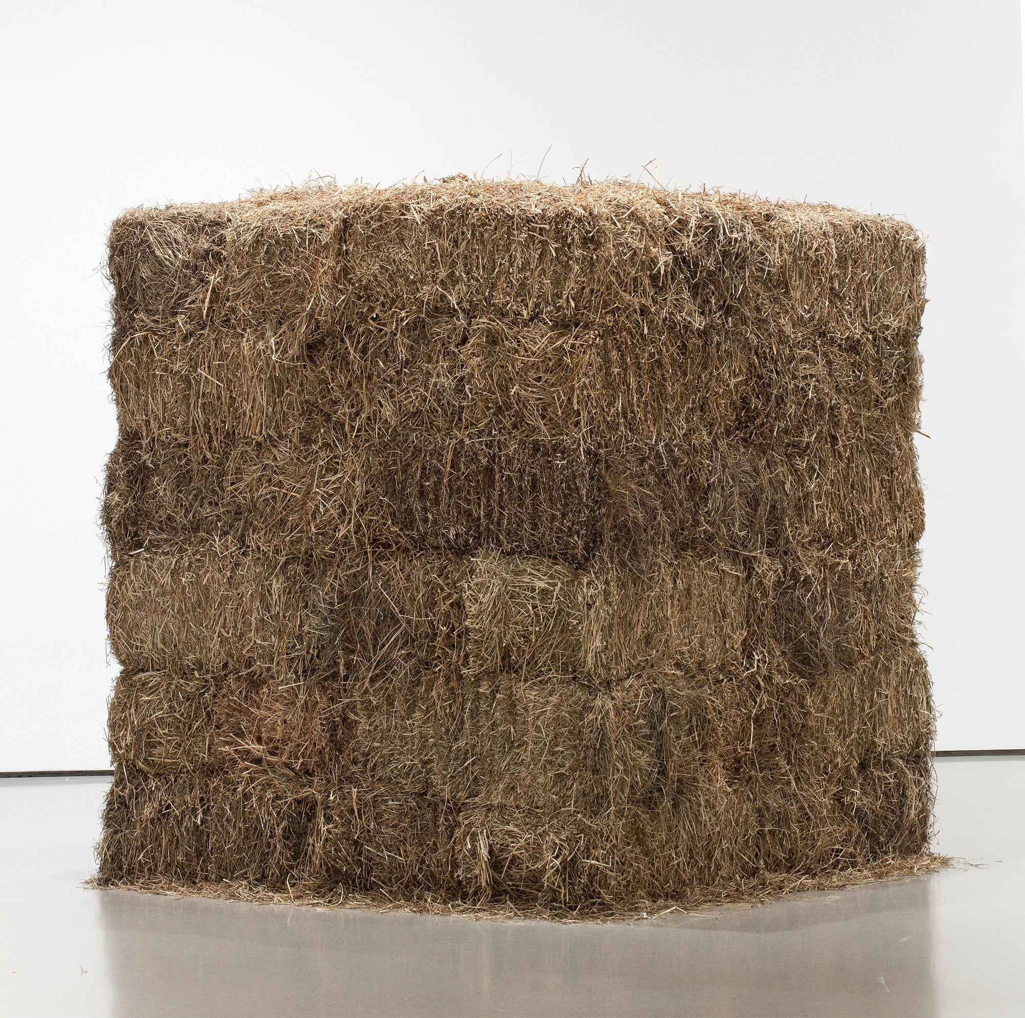 MOMA-ARTE LATINOAMERICANO