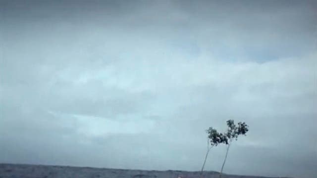 MOMA-ARTE LATINOAMERICANO