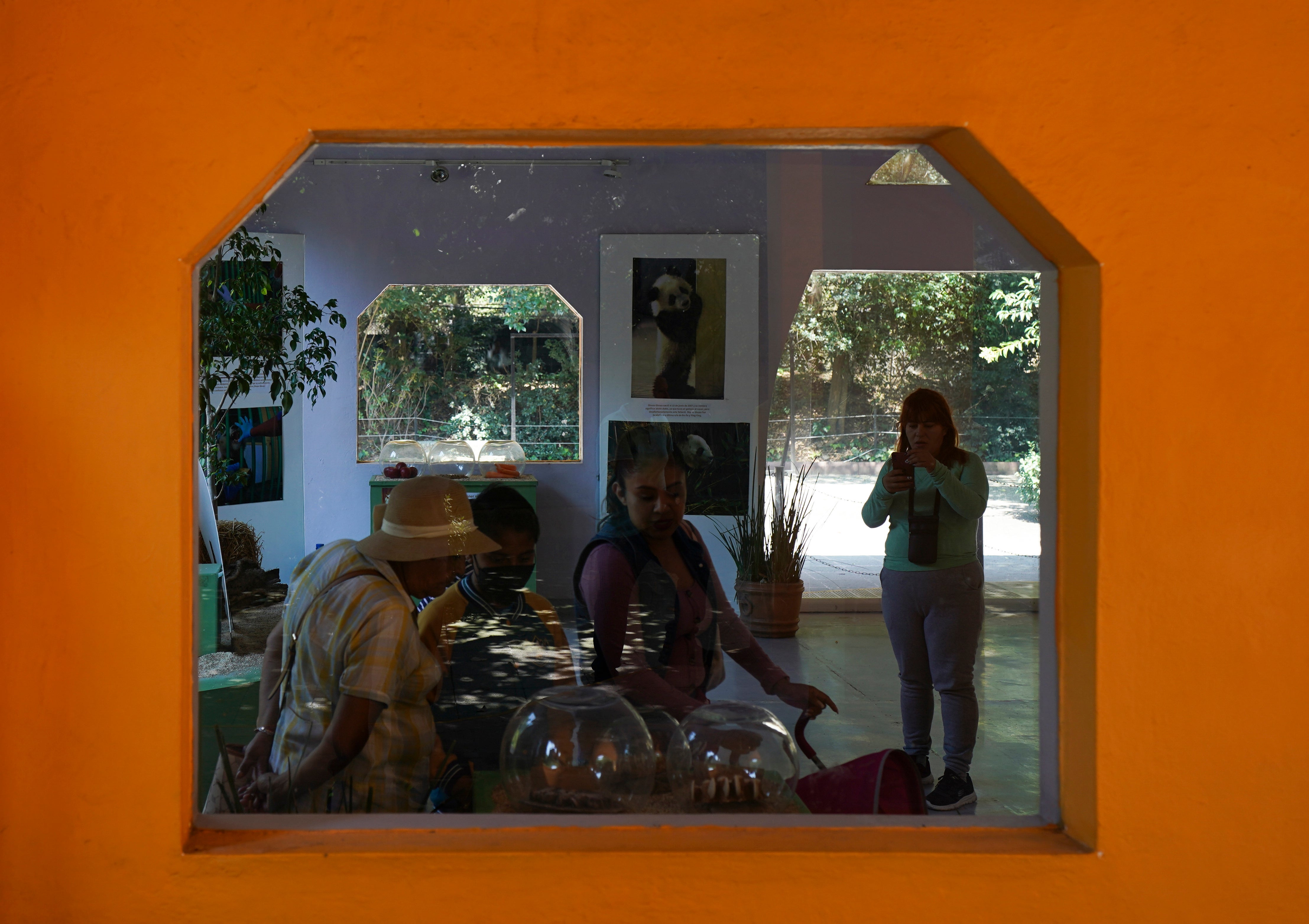 MÉXICO-ULTIMO PANDA