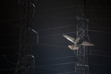 EEUU: Avioneta choca contra torre eléctrica; hay 2 atrapados