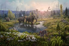 El descubrimiento del ADN más antiguo del mundo podría ayudarnos a comprender el costo de la crisis climática