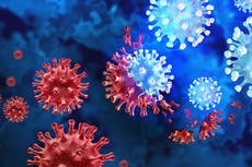 Cinco mueren después tras contraer la variante de covid, Arcturus, en el Reino Unido