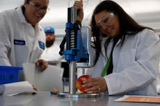 La ciencia al rescate contra el desperdicio de alimentos