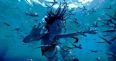 Reseña: “Avatar: The Way of Water” es un gran espectáculo