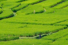 Crisis hídrica de Bali amenaza cultura local y sitios UNESCO