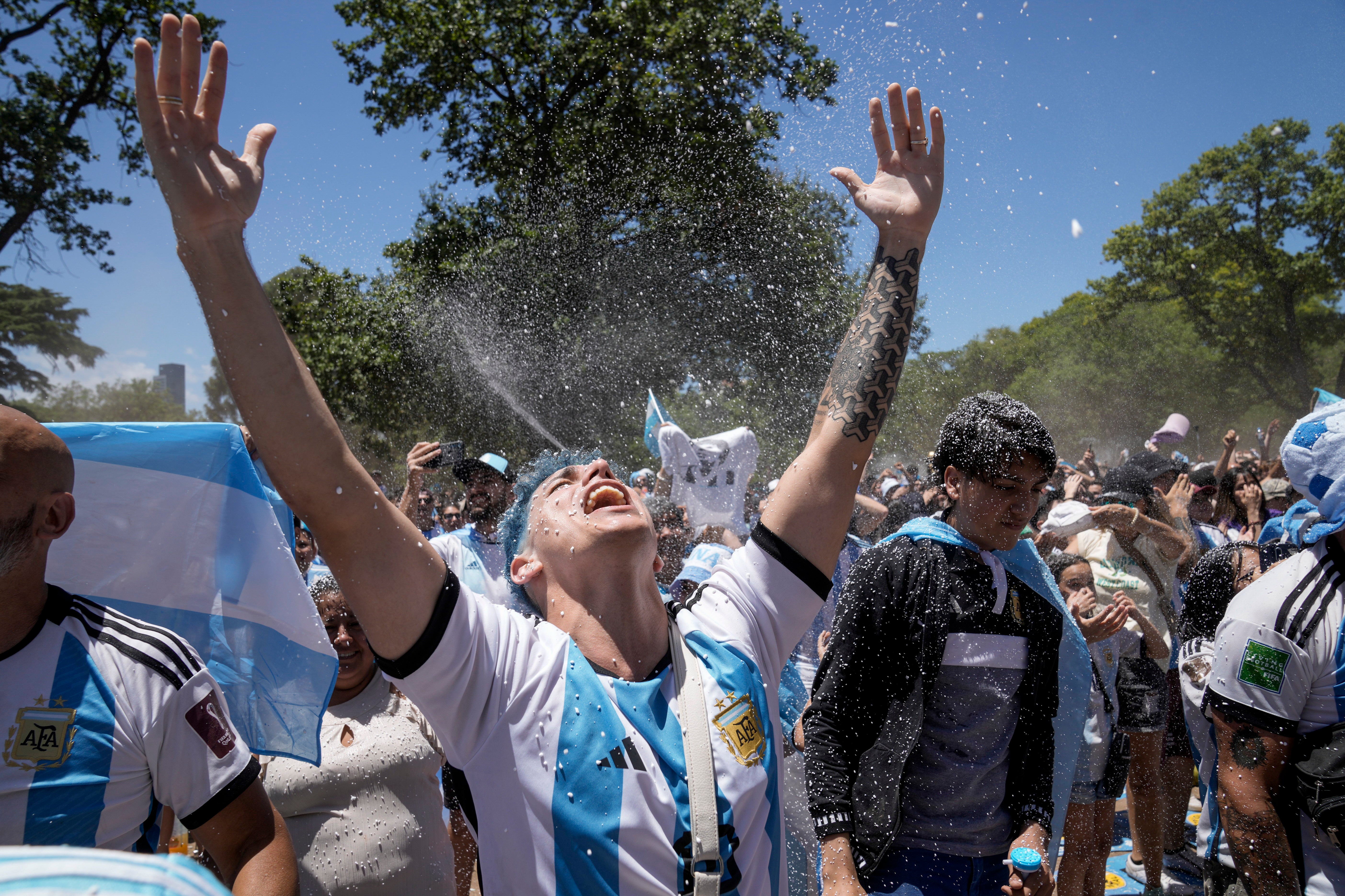 MUNDIAL ARGENTINA-REACCIONES