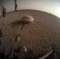 InSight de la NASA se queda en silencio tras 4 años en Marte
