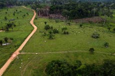 Lula promete no deforestar, pero hay retos inminentes