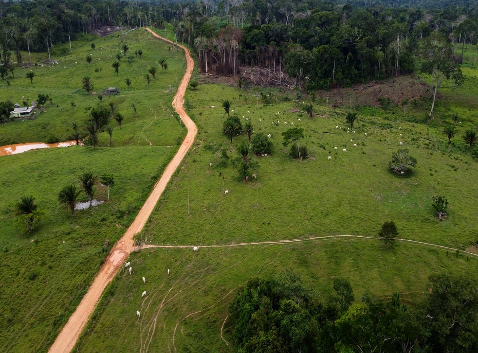 BRASIL-AMAZONIA-DEFORESTACIÓN