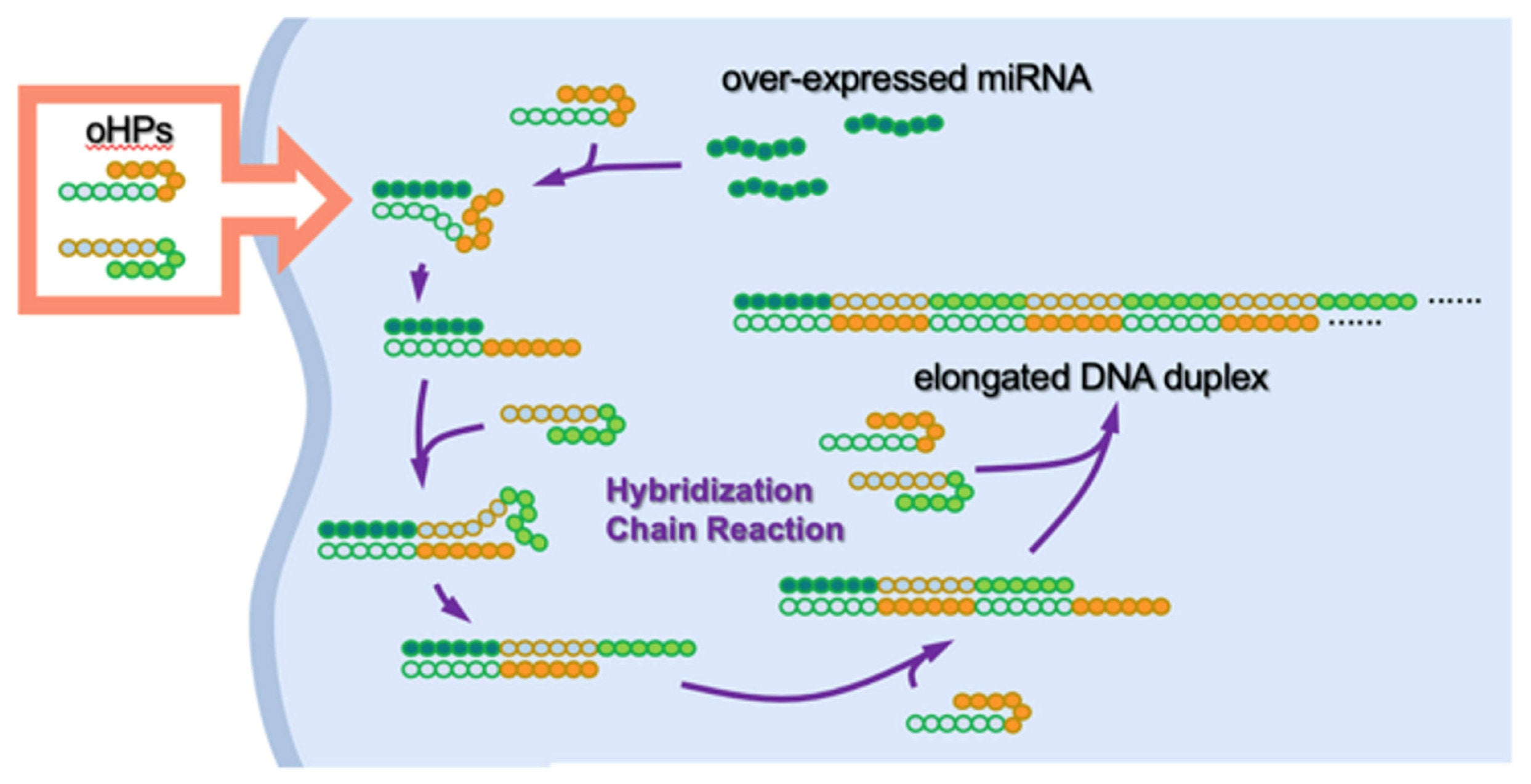 Investigación con ADN podría allanar el camino hacia la cura del cáncer, afirman científicos japoneses