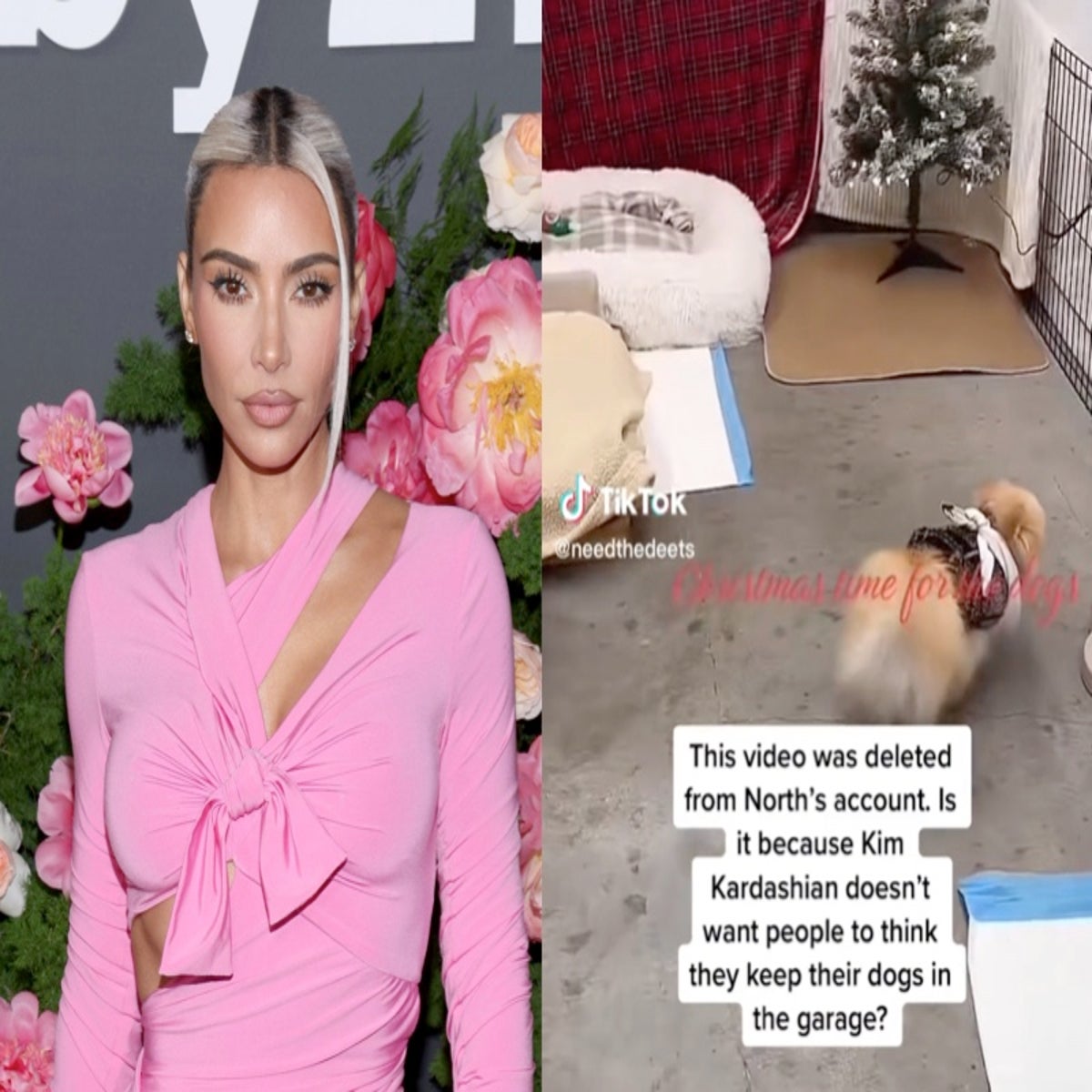 Kim Kardashian genera debate por un TikTok eliminado que muestra a sus  perros en el garaje | Independent Español