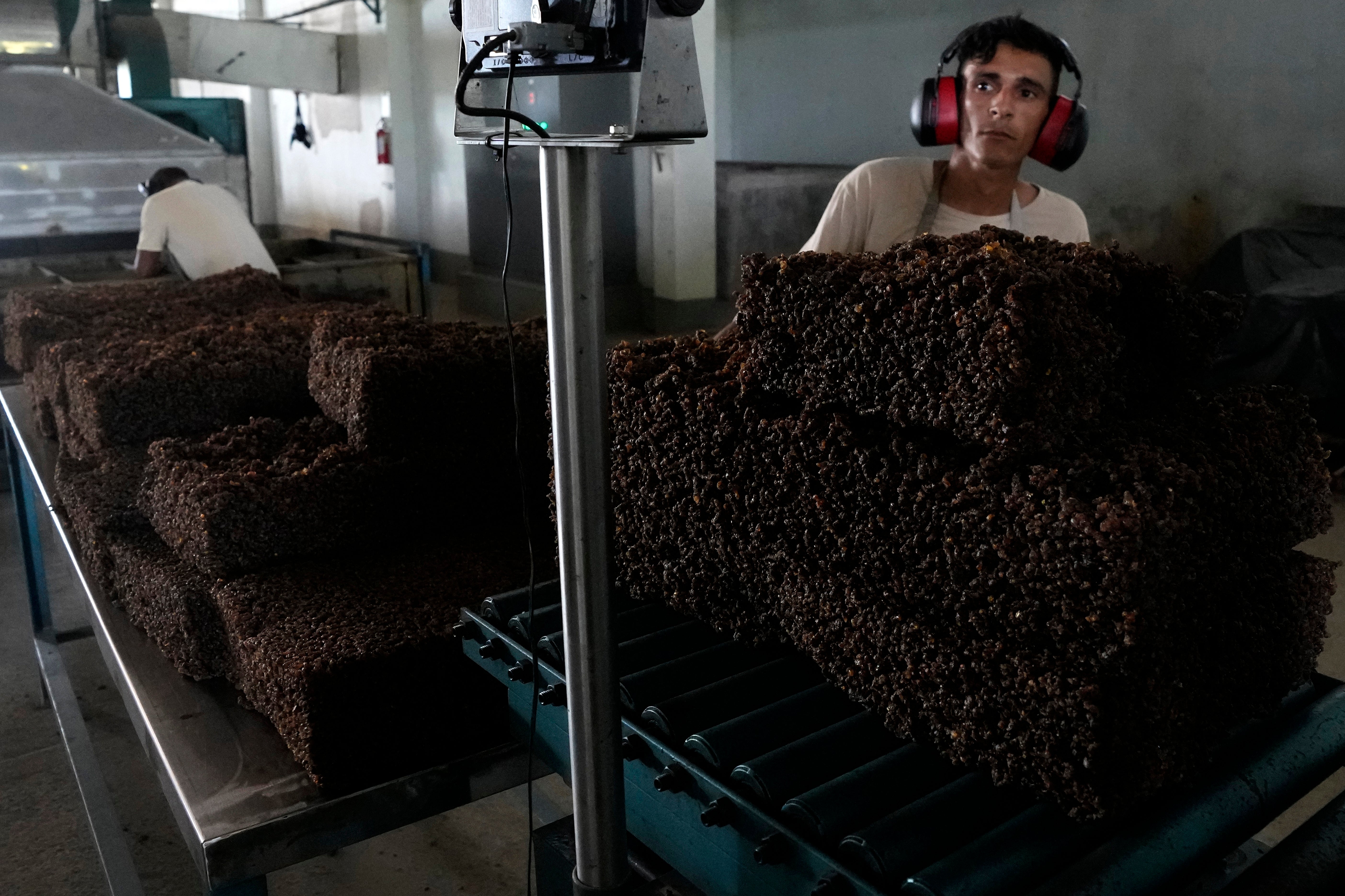 AMAZONÍA-CAUCHO SOSTENIBLE