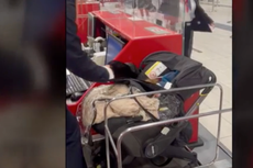 Pareja deja a su bebé en el check-in del aeropuerto para evitar pagar un boleto adicional