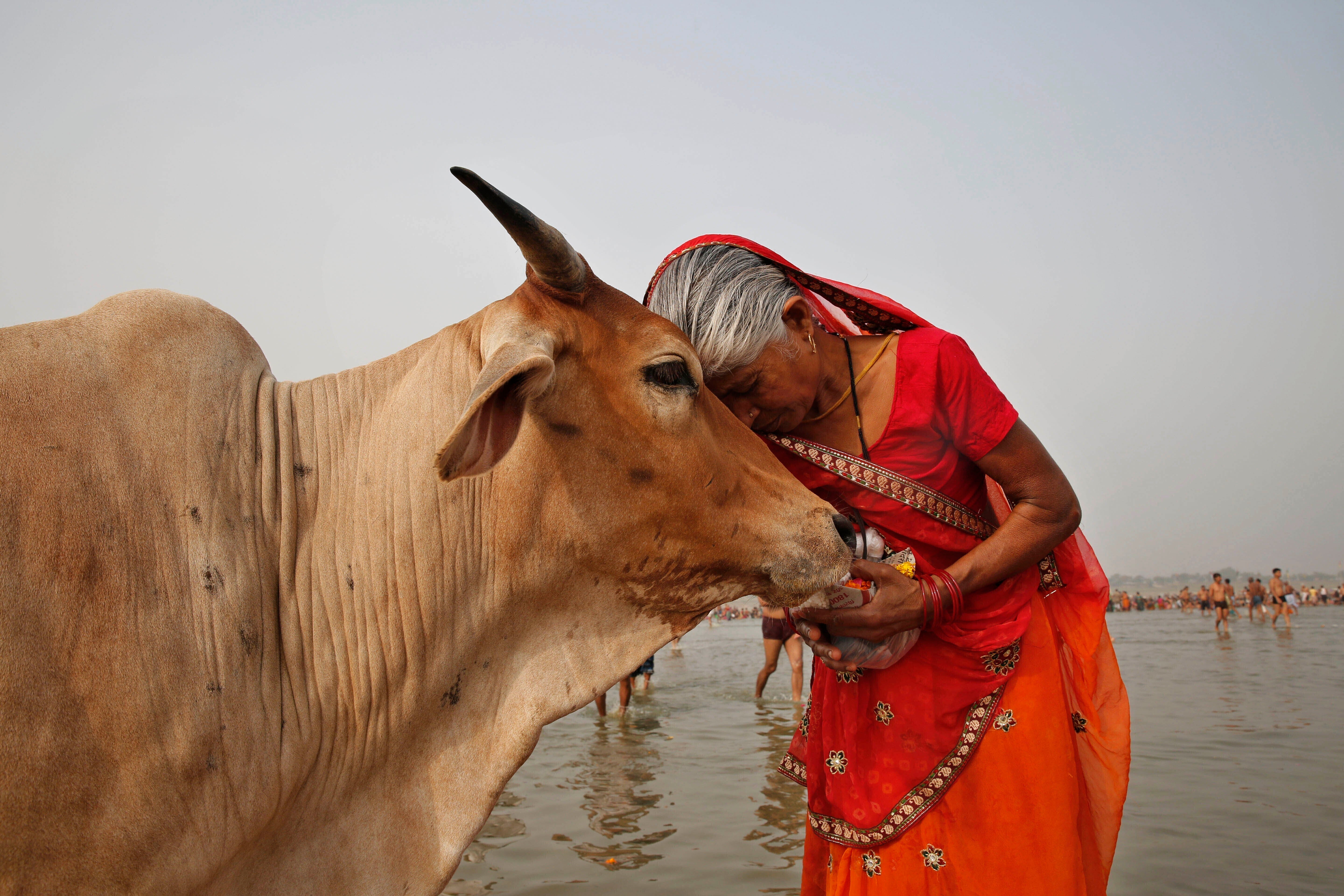 INDIA-SAN VALENTÍN