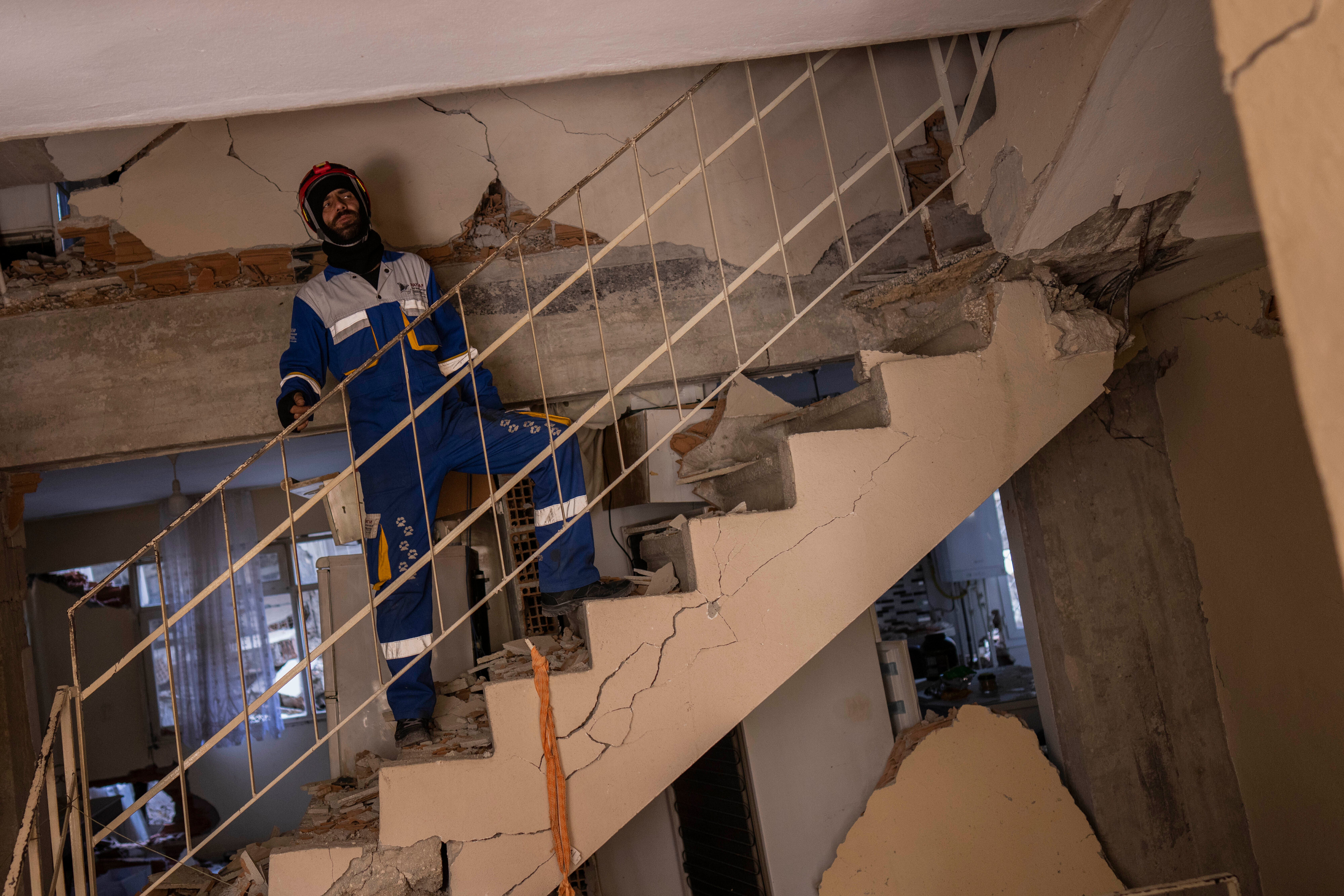 TURQUÍA-SIRIA-SISMO-MASCOTAS