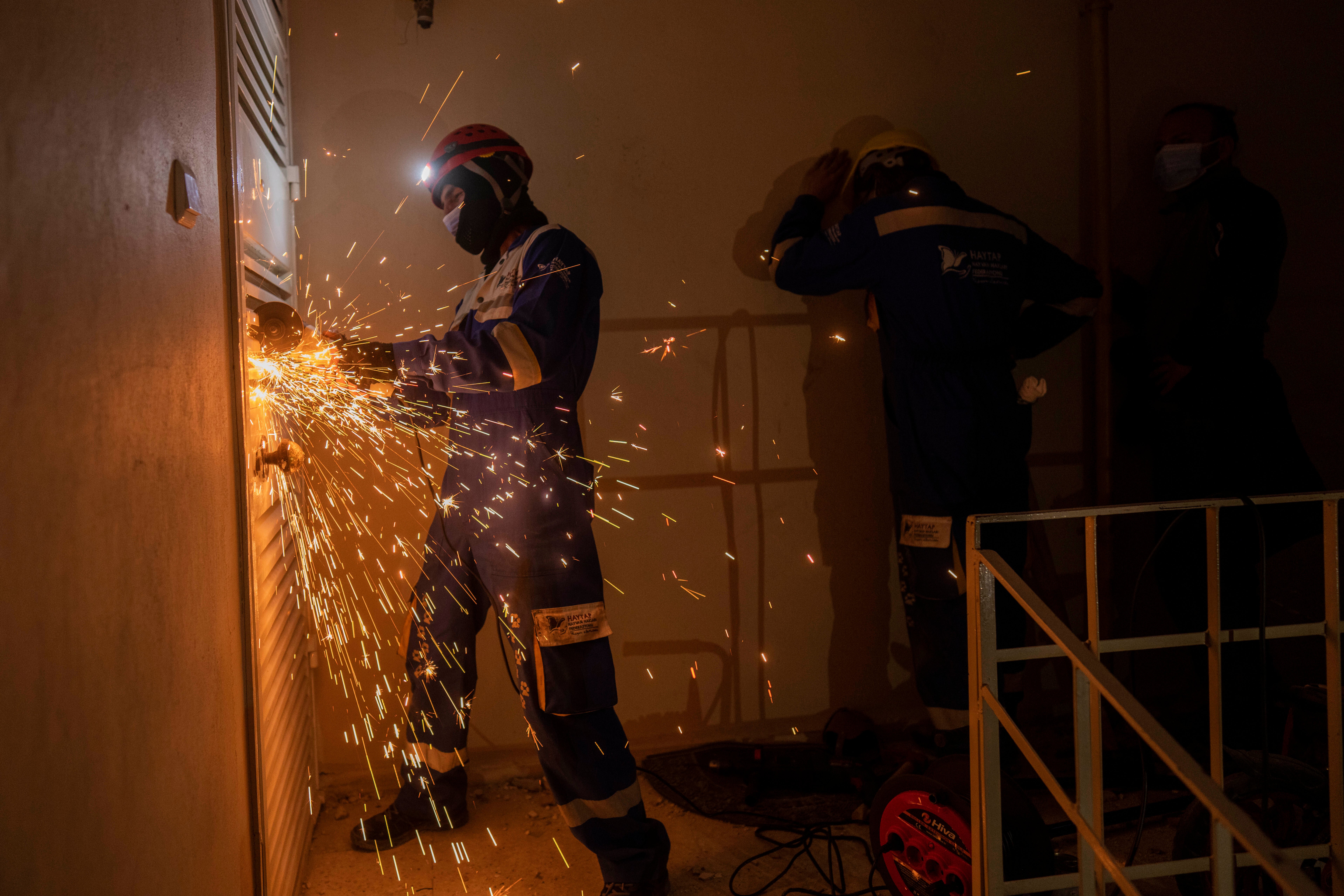 TURQUÍA-SIRIA-SISMO-MASCOTAS