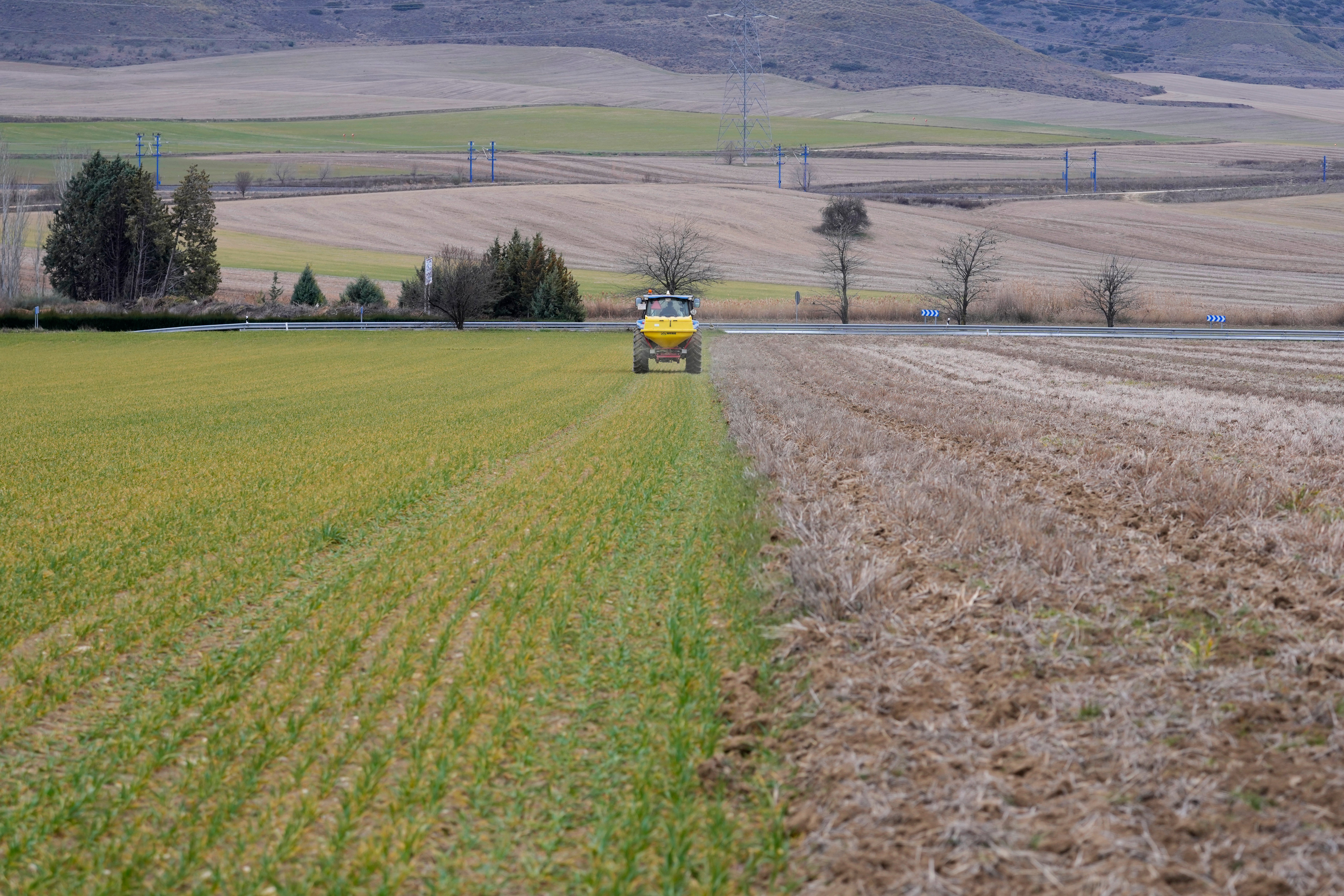 UCRANIA-GUERRA-IMPACTO ECONÓMICO