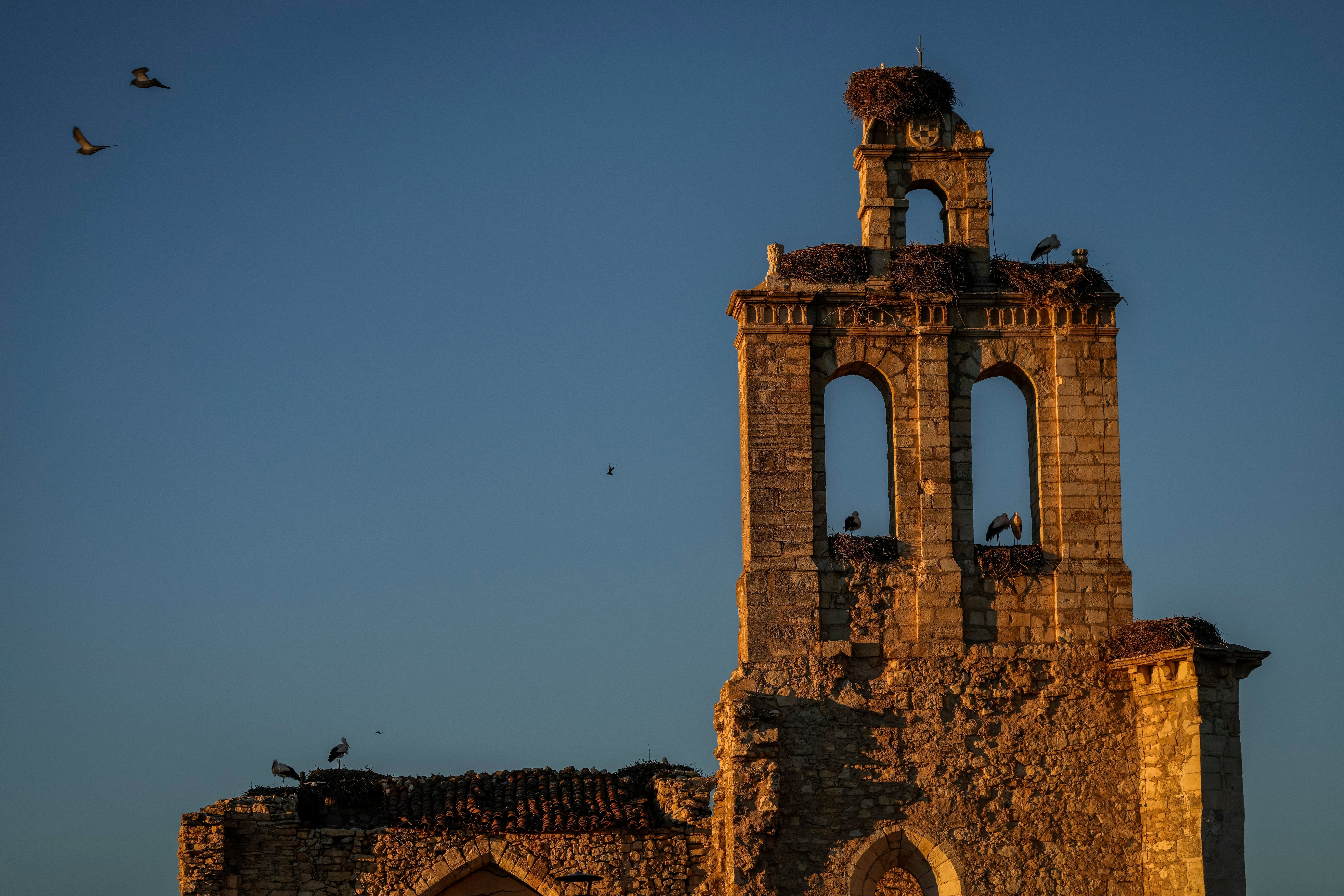 CAMBIO CLIMÁTICO-ESPAÑA-CIGÜEÑAS