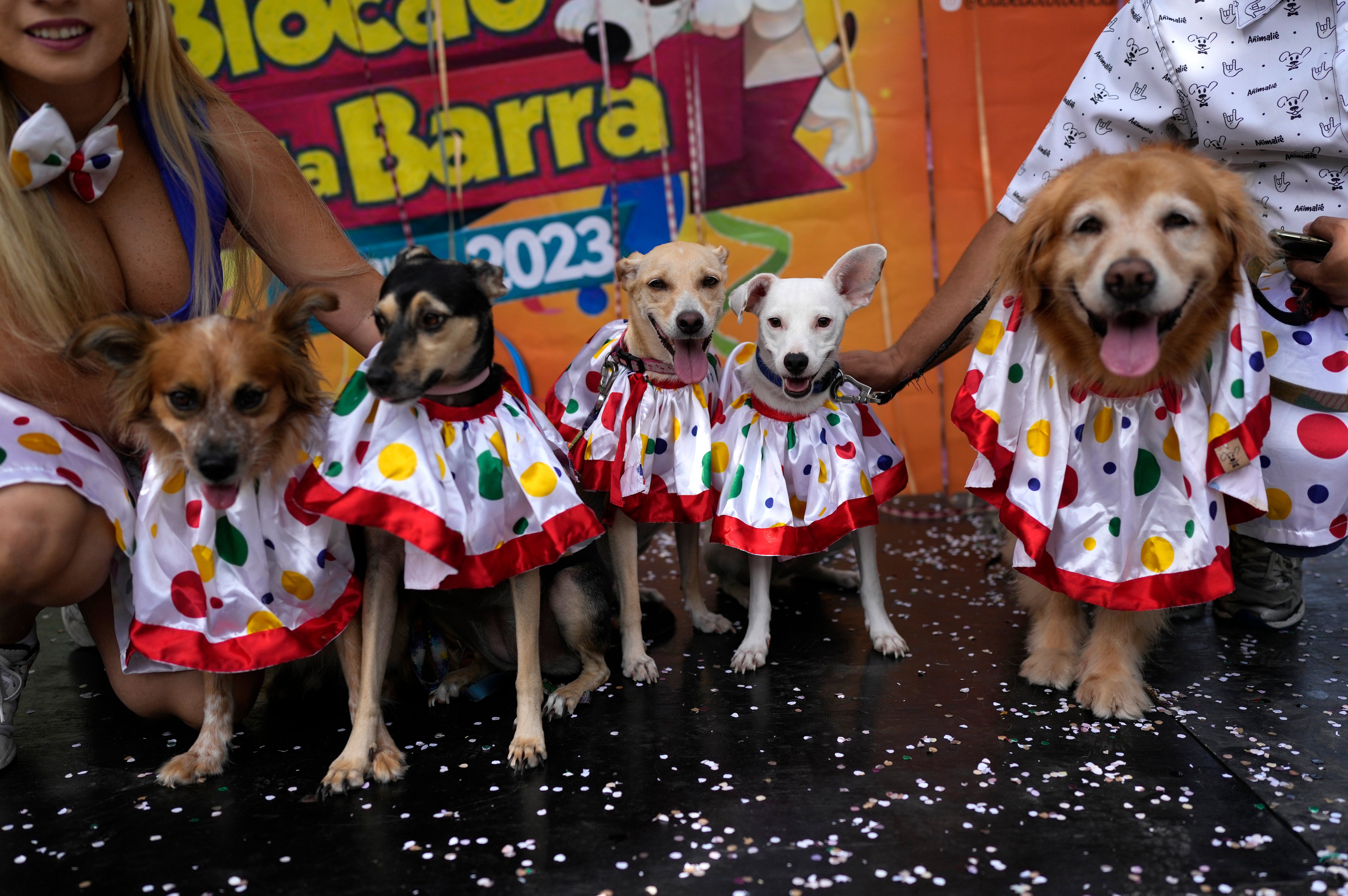 BRASIL-CARNAVAL-PERROS