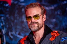 David Harbour afirma que es importante aceptar sus “deslices y errores”
