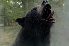 La historia real detrás de la película ‘Cocaine Bear’